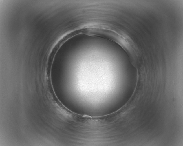 X0000081380880200701182203