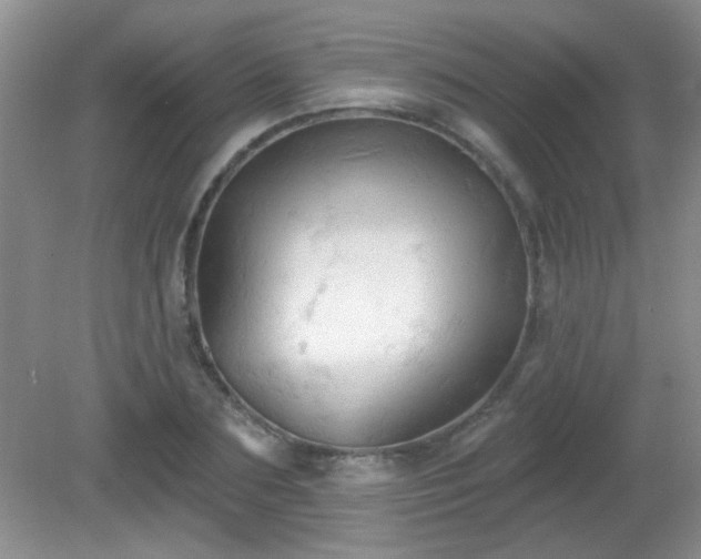 X0000081380883200701182203