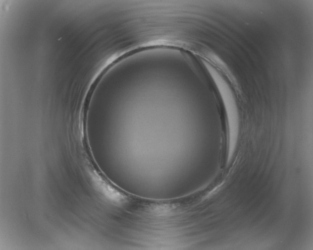 X0000081380892200701182202