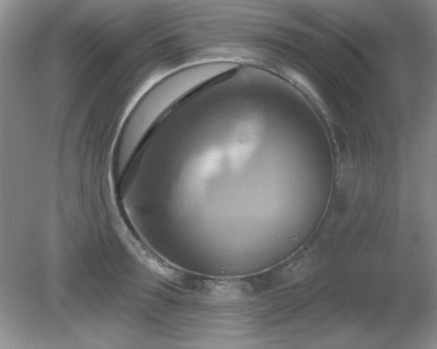 X0000081380899200701182202