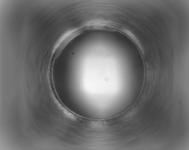 X0000081380901200701182202