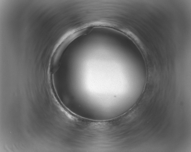 X0000081380902200701182202