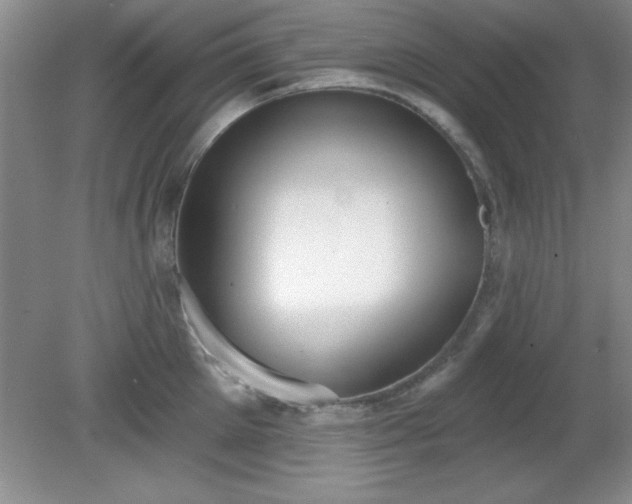 X0000081380905200701182202