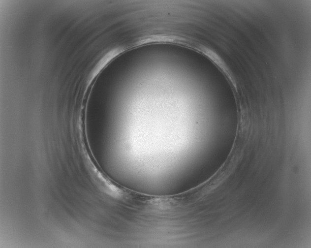 X0000081380906200701182202