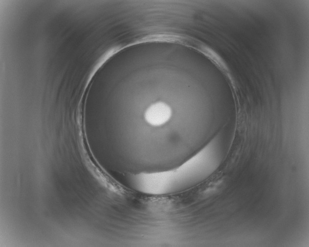 X0000081380907200701182202