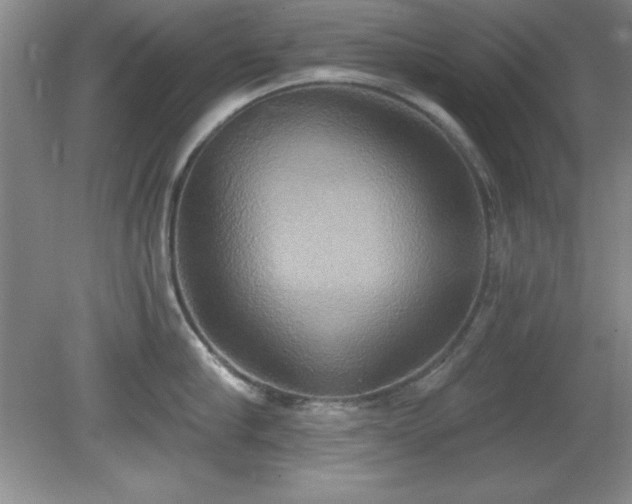 X0000081380910200701182202