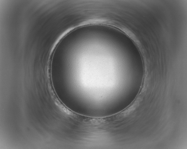 X0000081380912200701182202