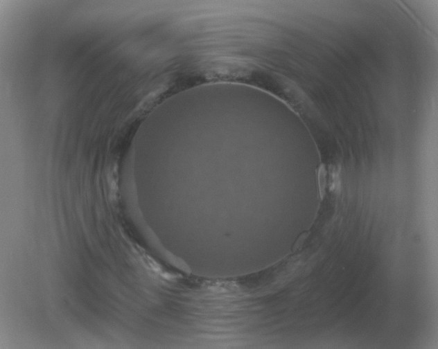 X0000081380915200701182201