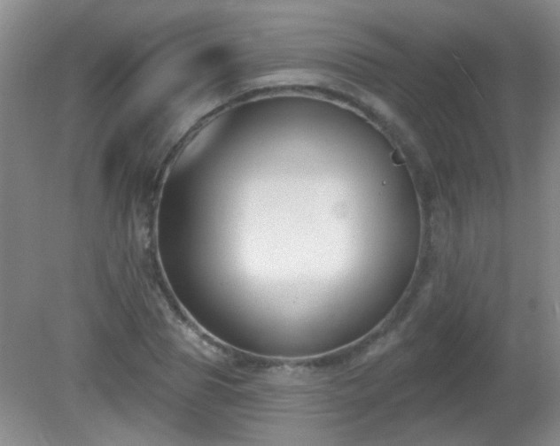 X0000081380929200701182202