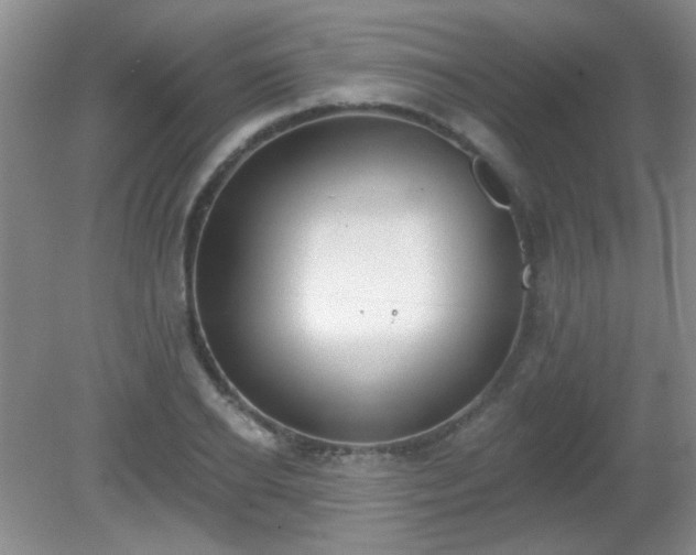 X0000081380934200701182202