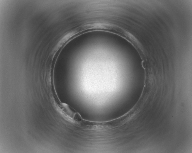 X0000081380938200701182202