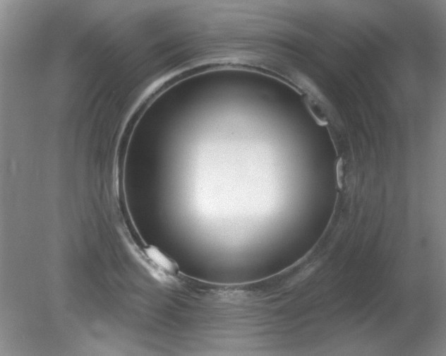 X0000081380940200701182202