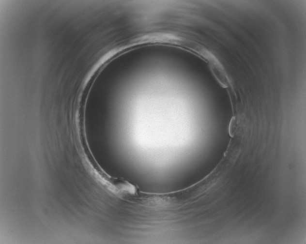X0000081380947200701182202