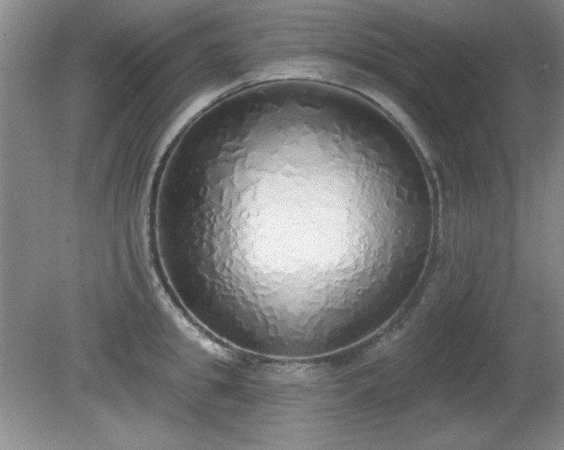 X0000081380949200701182202