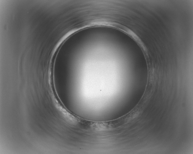 X0000081380955200701182202