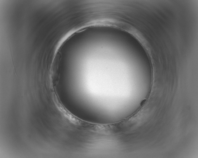 X0000081380960200701182202