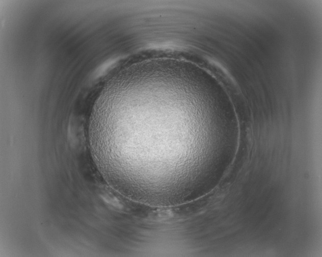 X0000081380968200701182201
