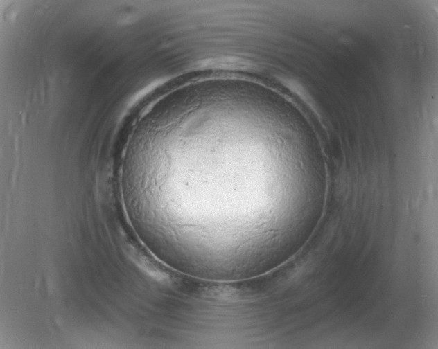 X0000081380971200701182201