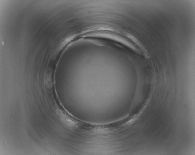 X0000081380977200701182201