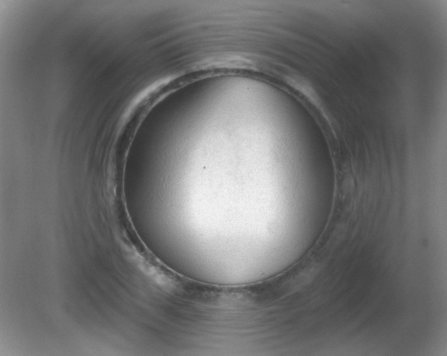 X0000081380979200701182201
