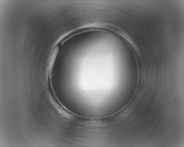 X0000081380980200701182201