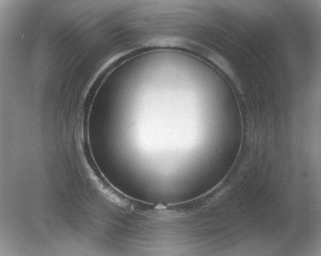 X0000081380984200701182201