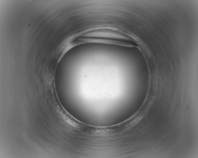 X0000081380985200701182201