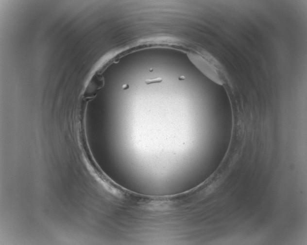 X0000081380989200701182201