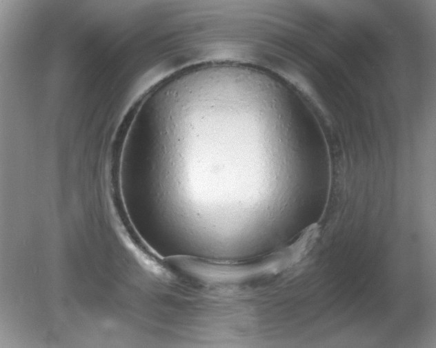 X0000081380991200701182201