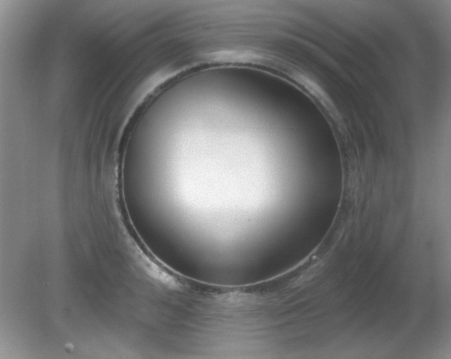 X0000081380992200701182201