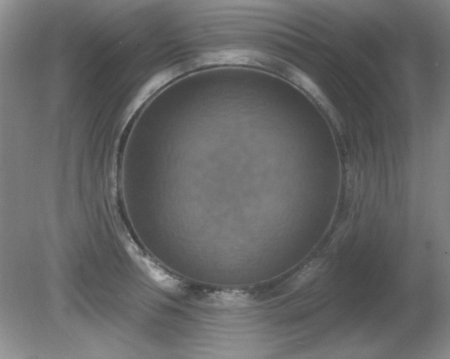X0000081380994200701182201