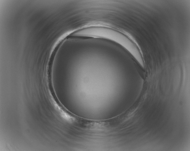 X0000081380995200701182201