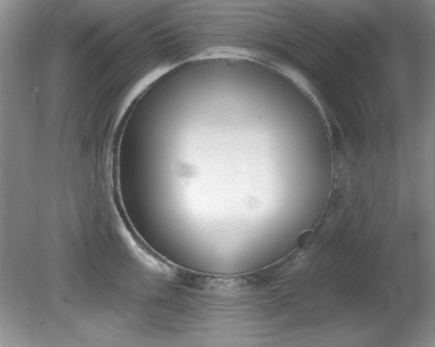 X0000081381003200701182201