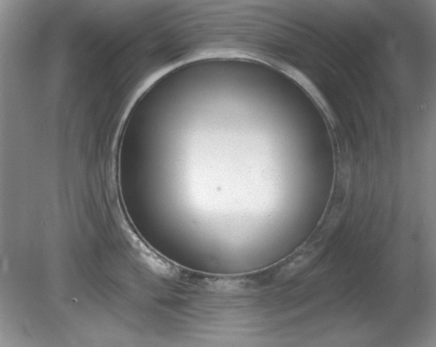 X0000081381004200701182200