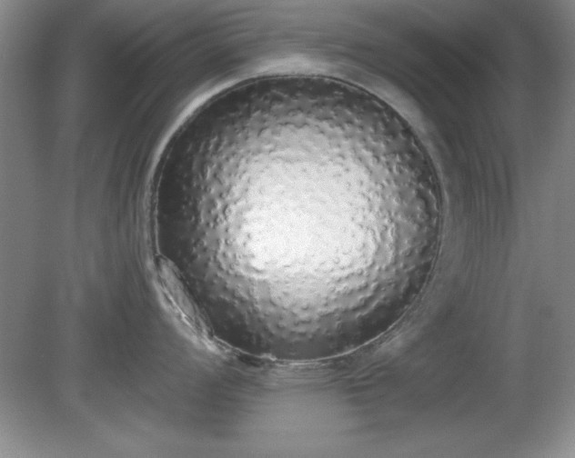 X0000081381008200701182200