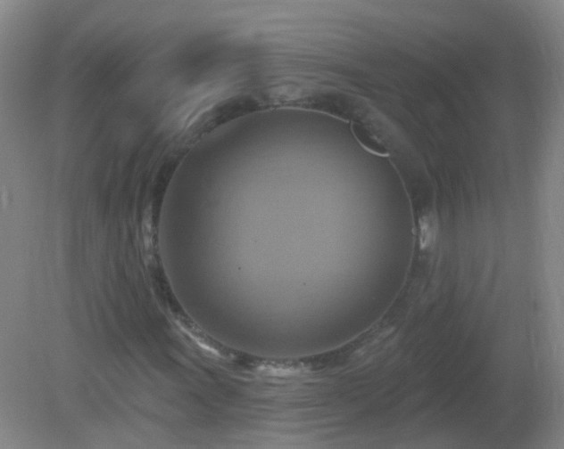 X0000081381011200701182200