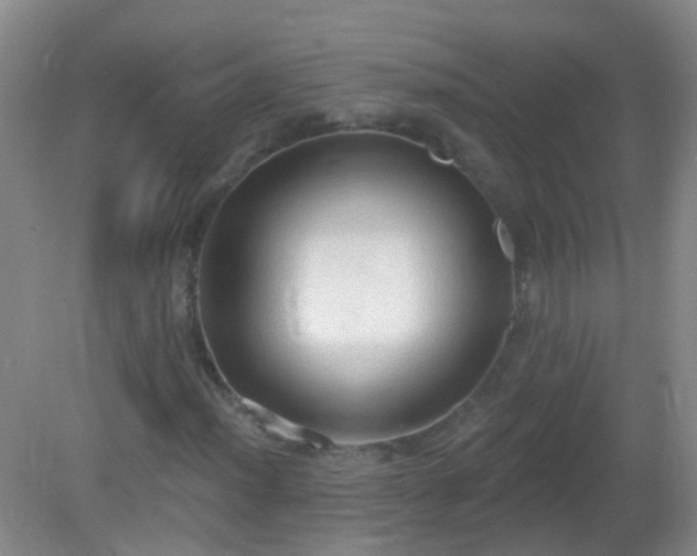 X0000081381012200701182200