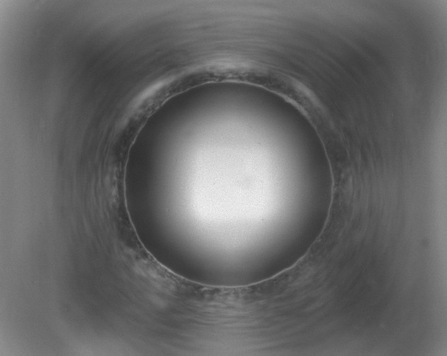 X0000081381016200701182200