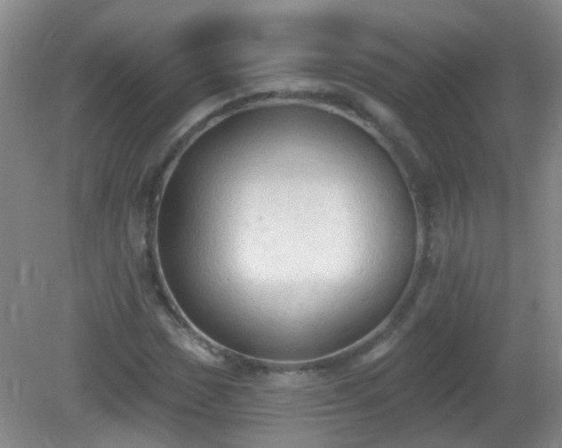 X0000081381017200701182200