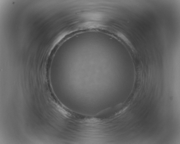 X0000081381023200701182200