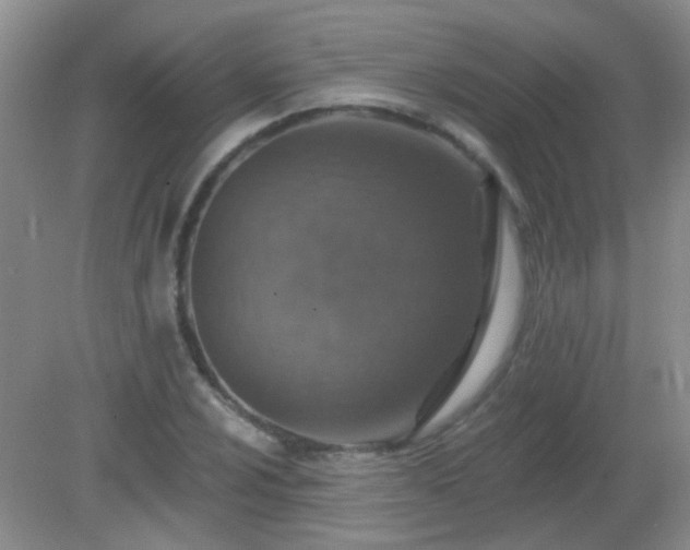 X0000081381024200701182200