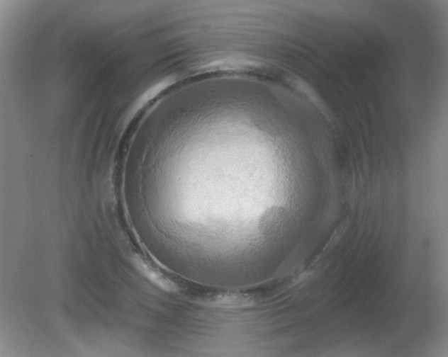 X0000081381026200701182200
