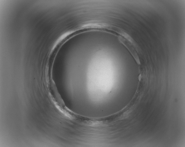 X0000081381030200701182200