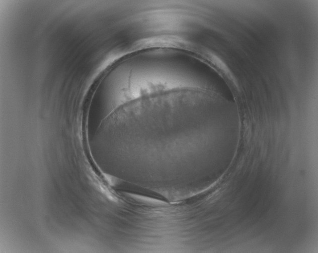 X0000081381035200701182200