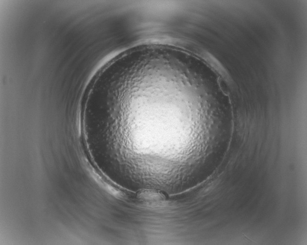 X0000081381036200701182200