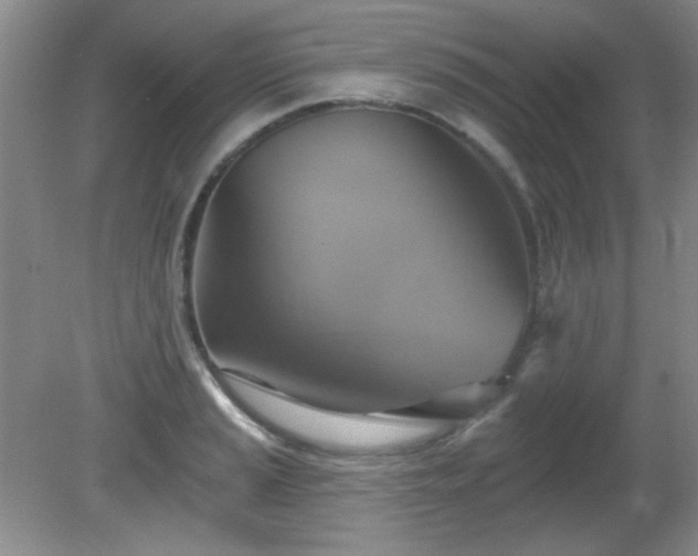 X0000081381037200701182200