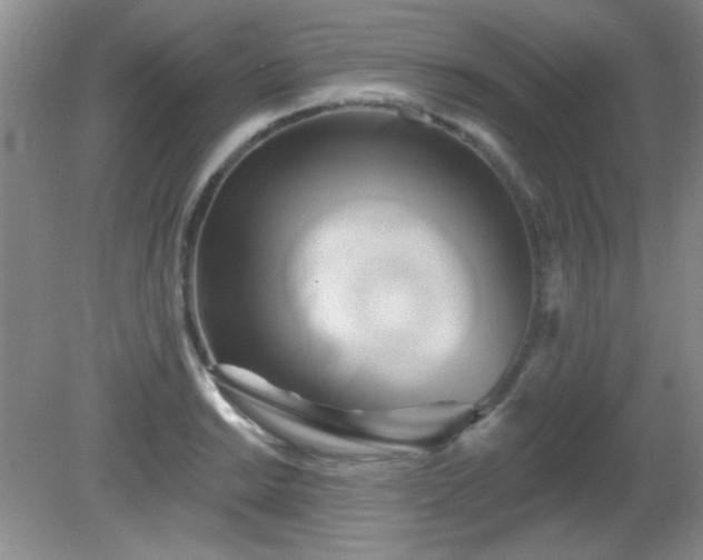 X0000081381038200701182200