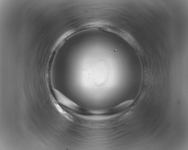 X0000081381042200701182200