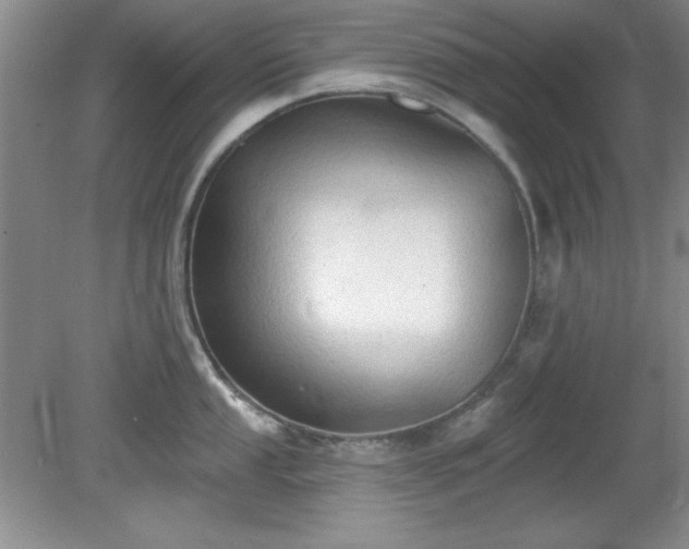 X0000081381053200701182200