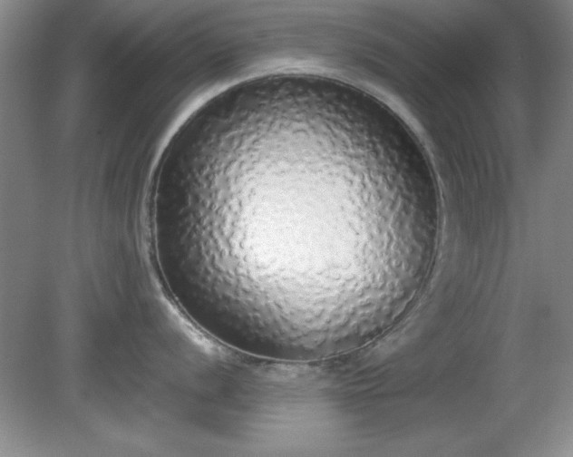 X0000081381056200701182200